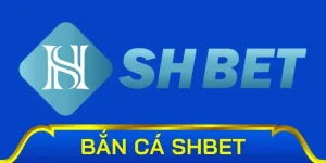 Bắn Cá SHBET800 | Chinh Phục Đại Dương, Thu Về Lợi Nhuận Khủng